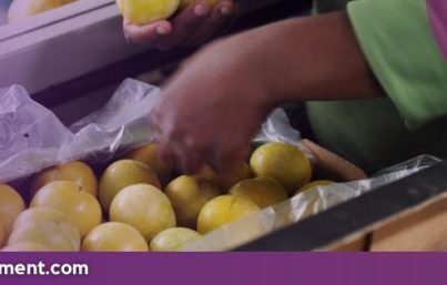 Fruit& Vegetable Production Operative